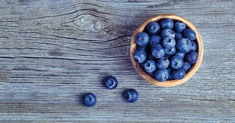 Blueberries Antioxidants|Antioxidant Dosage
