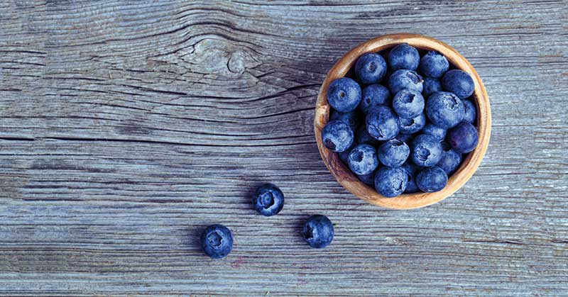 Blueberries Antioxidants|Antioxidant Dosage