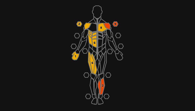 Body Chart