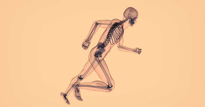Bone Health
