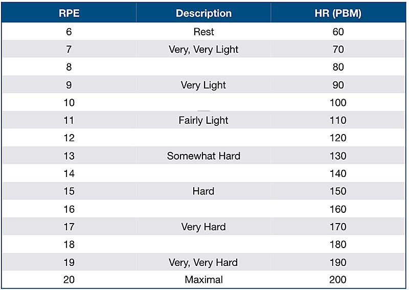 Borg Scale
