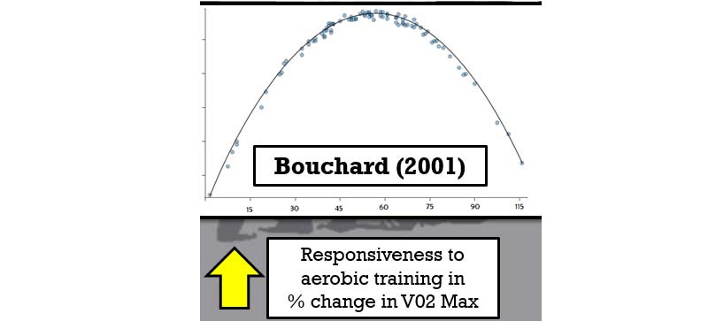 Bouchard