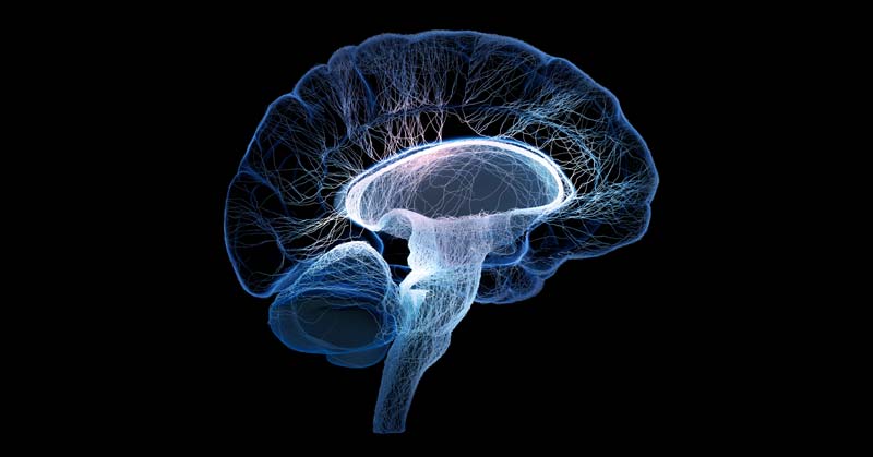 Brain DHA|Myelin Sheath|DHA Supplement|Brain Performance|Omega 3 Health Graph|Athlete Brain|Fish Oil DHA|Sport Vision