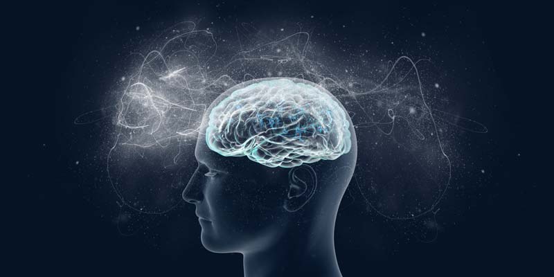 Brain Performance
