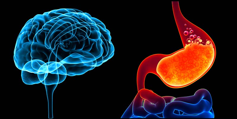 Brain and Gut