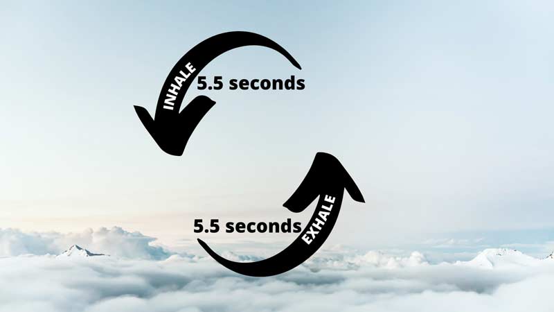 Breathing Cycle