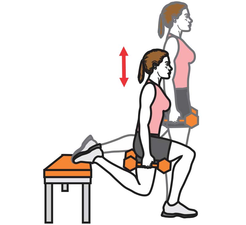 Bulgarian Lunge Drawing
