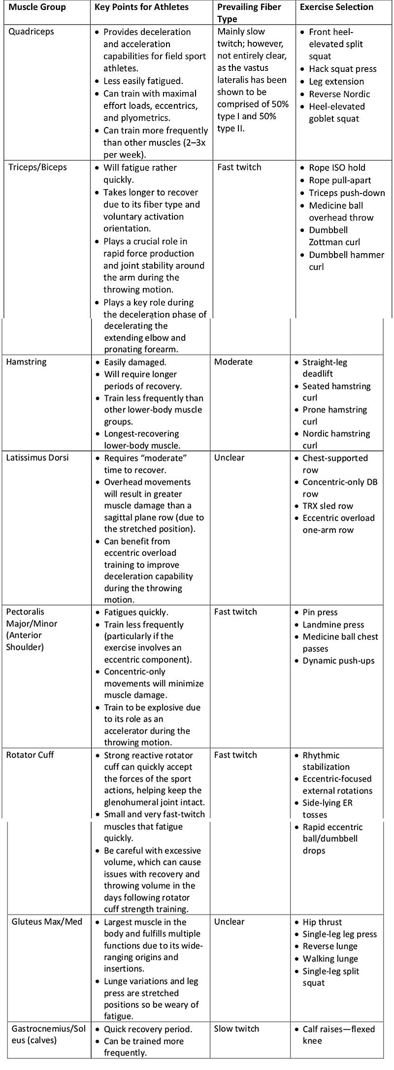 Muscle Group Chart