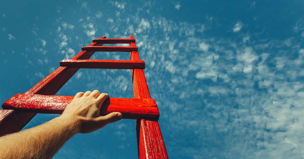 Climbing Ladder In Summer