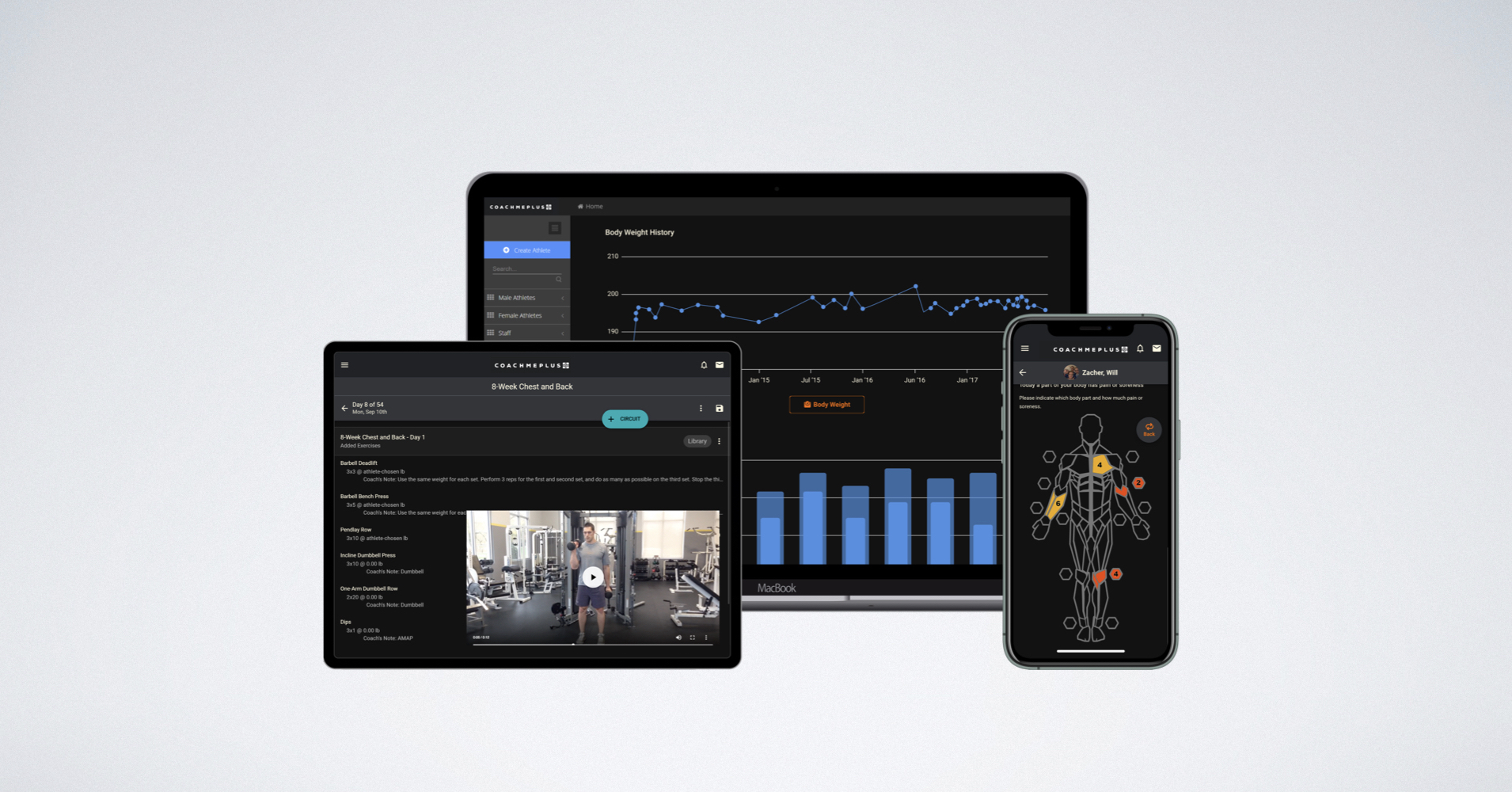 CoachMePlus Solutions|CMP API|CMP Data|CMP Assessment|CMP graphs|CMP Uses