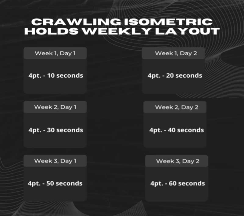 Crawling Infographic