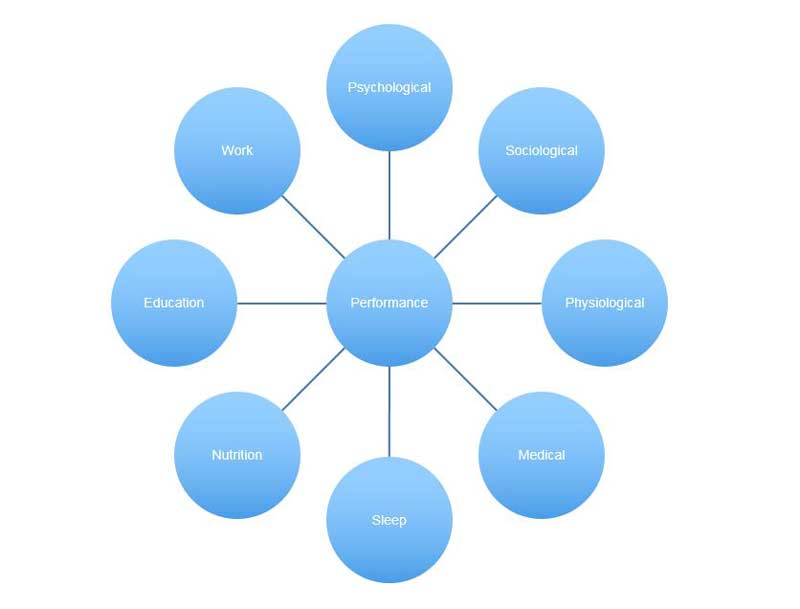 Cycle of Performance Contributors
