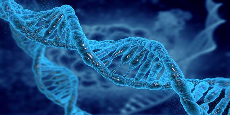 DNA