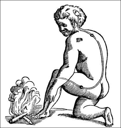 The Descartes Reflex
