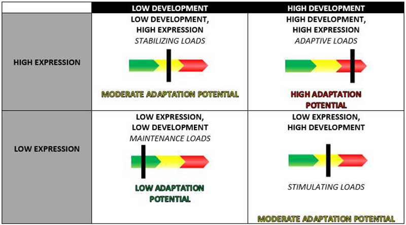 Development Expression Matrix