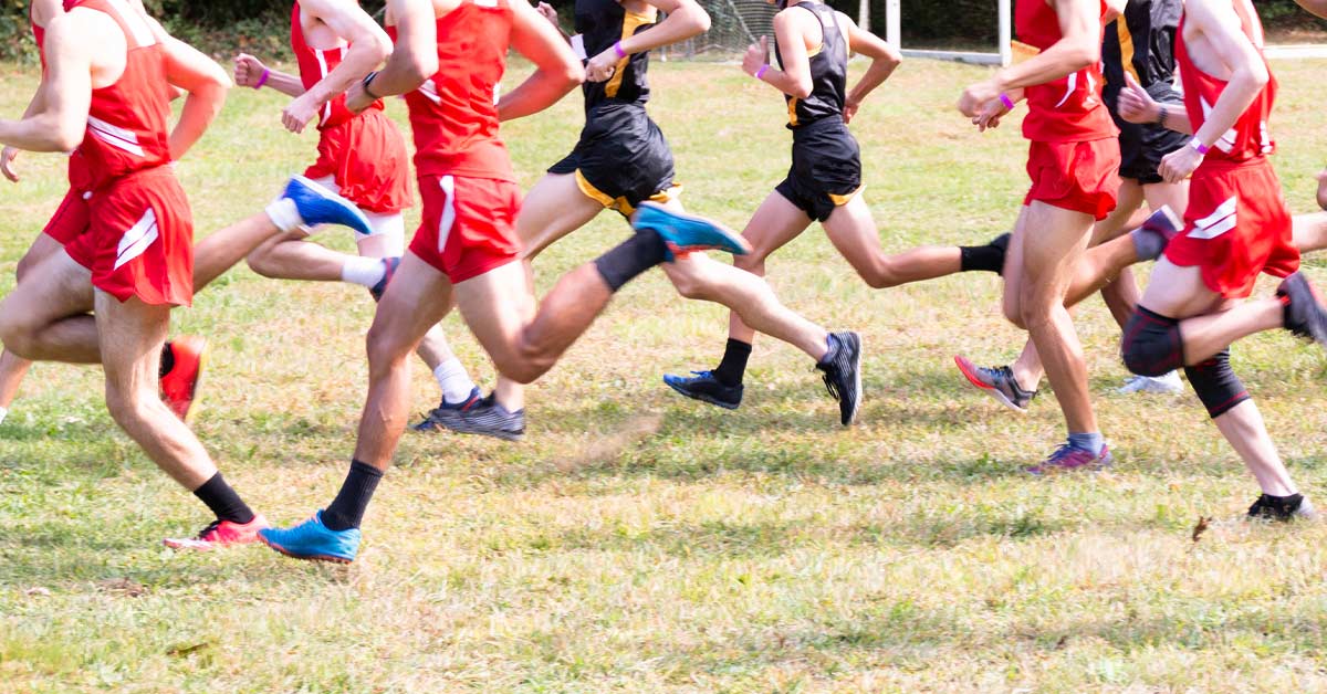 Distance Runners|Fly Times 1|Fly Times 2|Improvements|Times Month|300m Chart|20m Fly|Year Improvements