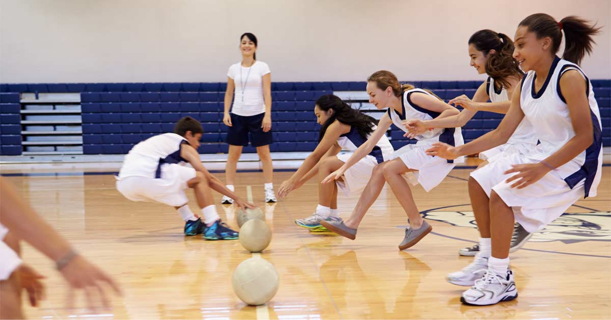 Dodgeball PE|Playground Jungle Gym