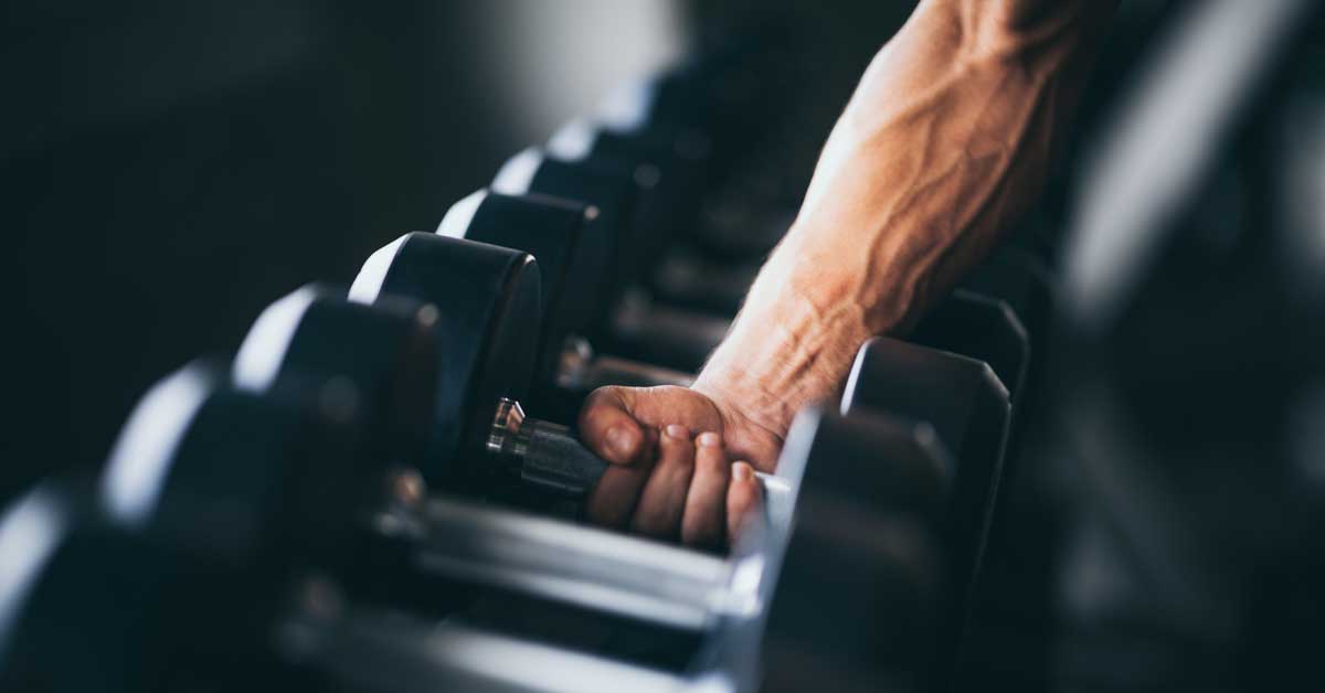 Dumbell|Squat Progression|InBody|Velocity Zones