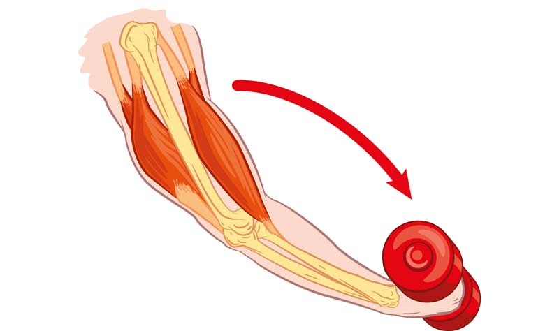 Eccentric Exercise