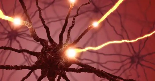 Electrical Muscle Stimulation|DNA|Brain EMS|PowerDot EMS|Nervous System Function