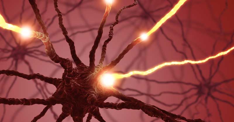 Electrical Muscle Stimulation|DNA|Brain EMS|PowerDot EMS|Nervous System Function