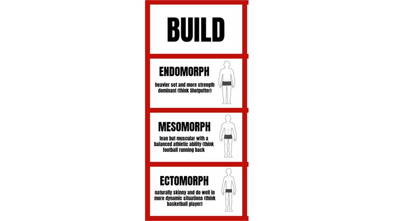 Human Body Types