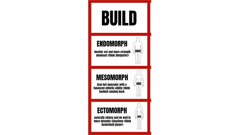 Human Body Types