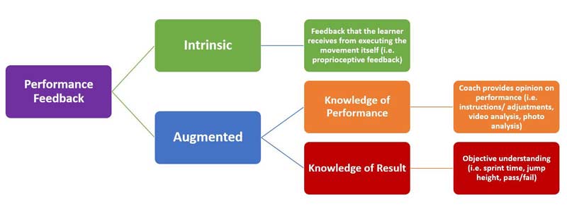 Feedback Diagram