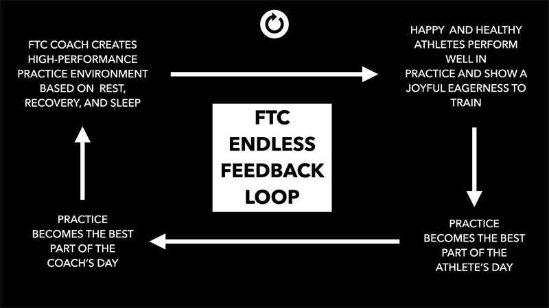 Feedback Loop