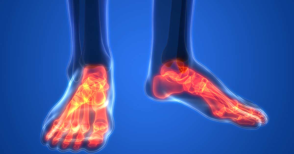 Feet Training|Books Foot|Foot Anatomy|Barefoot Training|Foot Manual Therapy|Orthotic