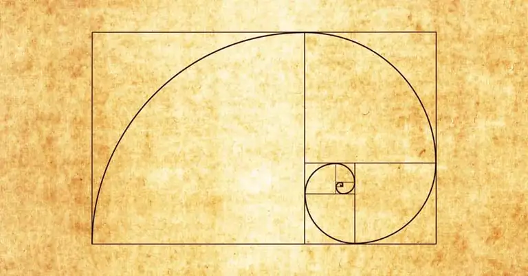 Fibonacci Drawing|Flower Petals|Strength Power Fibonacci Sequence|O O D A Loop|Athlete Monitoring|Development Expression Matrix|Engrain Explore Expand Conceptual Framework|Contingent Necessity Model Corollaries|Microcycle Macrocycle KPI Program General Specific