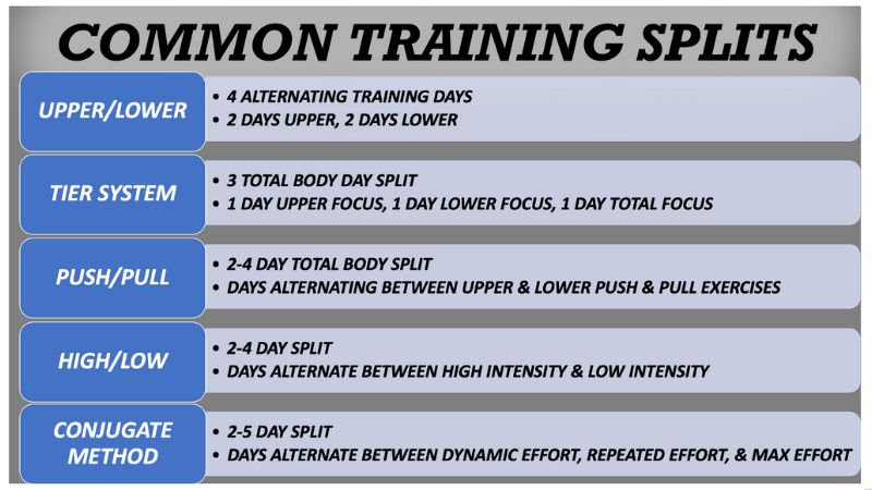 Image showing a table titled Common Training Splits with five workout plans: Upper/Lower, Tier System, Push/Pull, High/Low, and Conjugate Method, each with a brief description of their routine and alternating days focus.