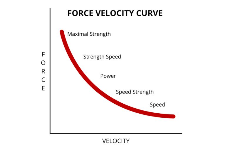 Graph titled Force Velocity Curve. It shows an inverse relationship between force and velocity with segments labeled: Maximal Strength, Strength Speed, Power, Speed Strength, and Speed, connected by a red curve.