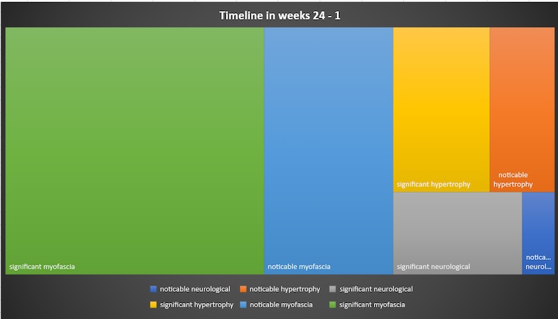 Figure showing 24 week timeline of adaptations for a range of physical qualities.