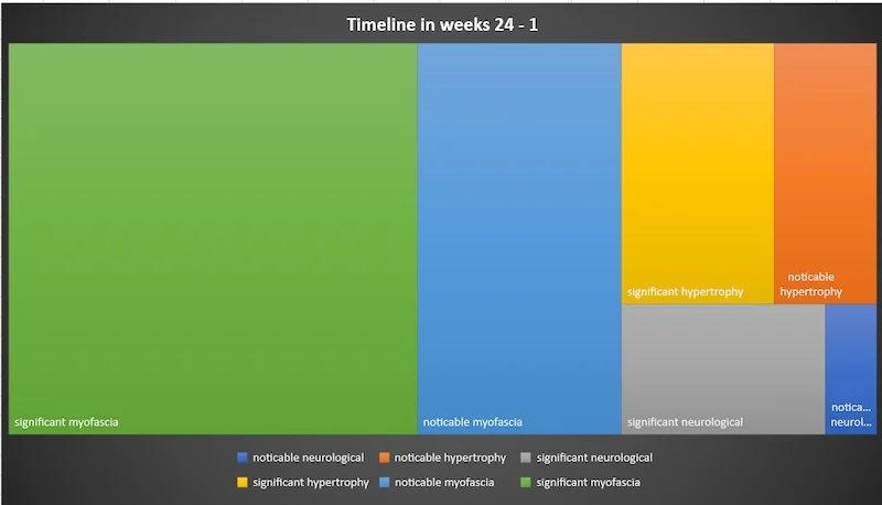Figure showing 24 week timeline of adaptations for a range of physical qualities.