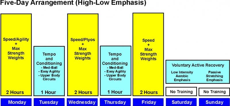 CNS Figure