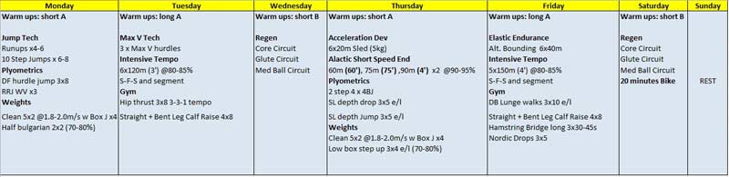 Training Plan