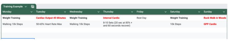 A weekly training schedule with days listed as columns. Activities include weight training, cardio, walking 10k steps, rest day, interval cardio, and a ruck walk. Each day has specific notes about duration or intensity.
