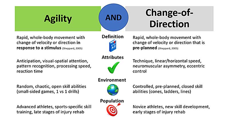 Agility vs COD