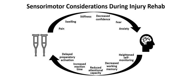 Sensorimotor Concussion