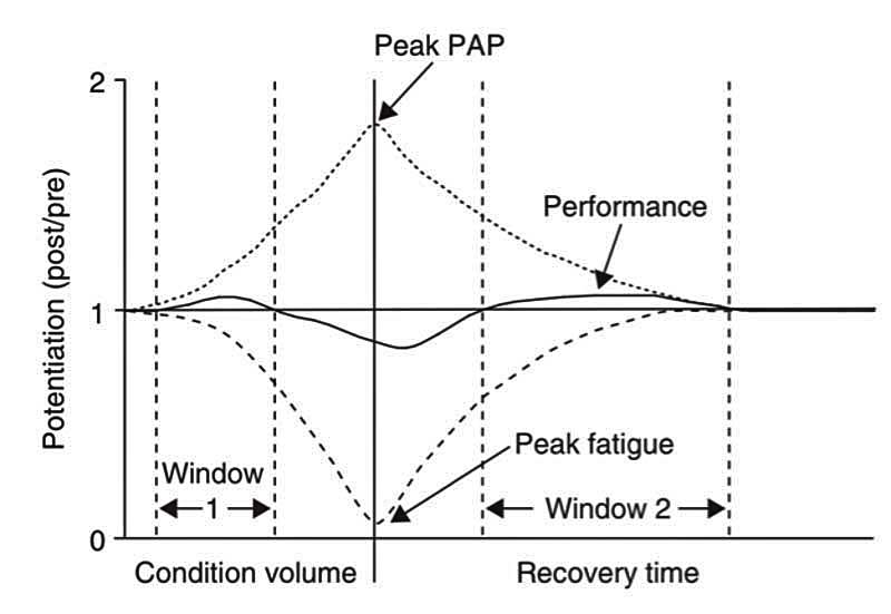 PAP & Fatigue