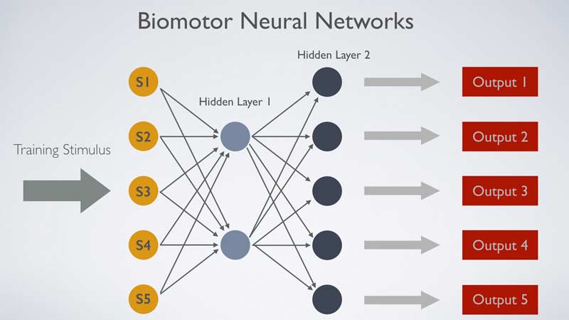Neural Networks