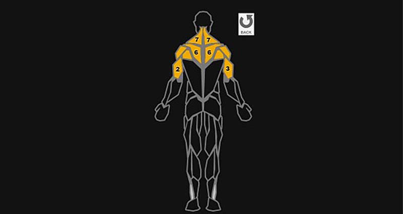 Figure 3 pt 2