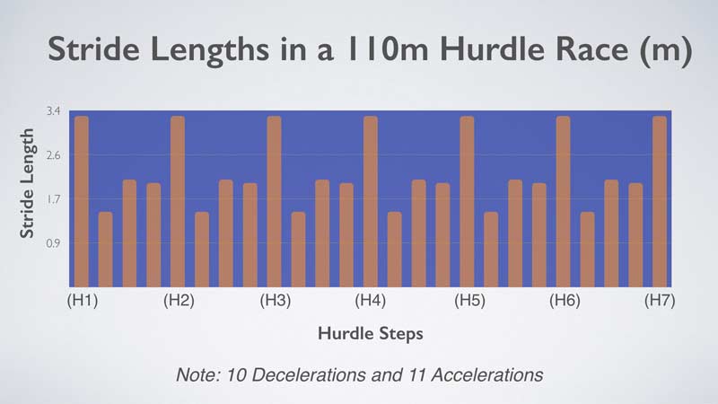 Stride Lengths Parno