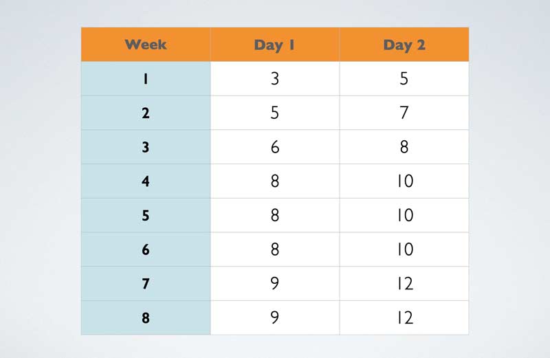 Training Plan