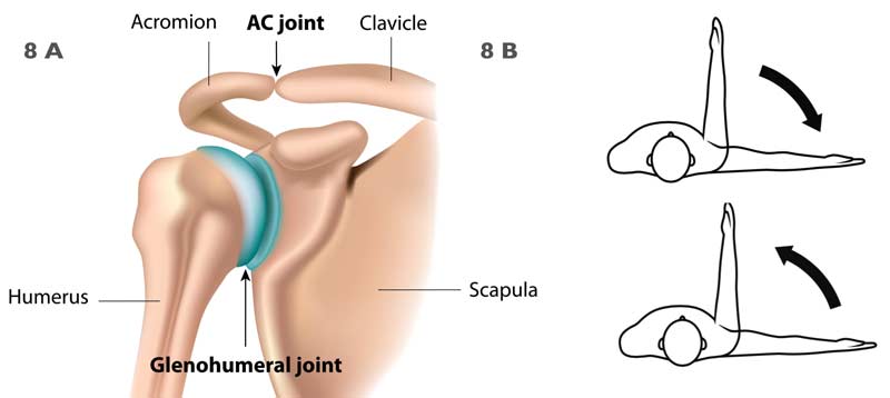 Scapular Plane
