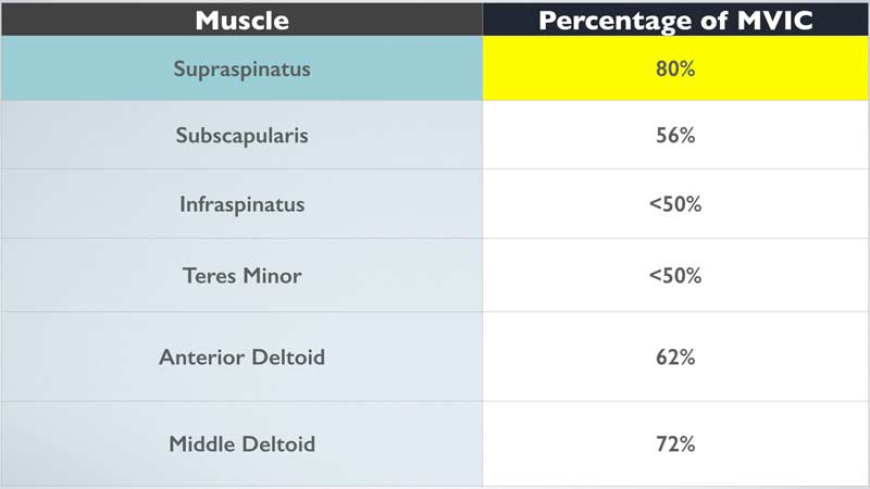Rotator Cuff Chart