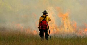 Firefighter Tactical