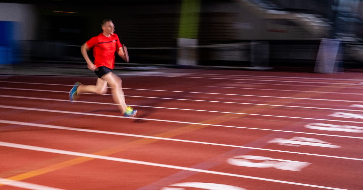 Fly Experiments|A table comparing running conditions: Free run