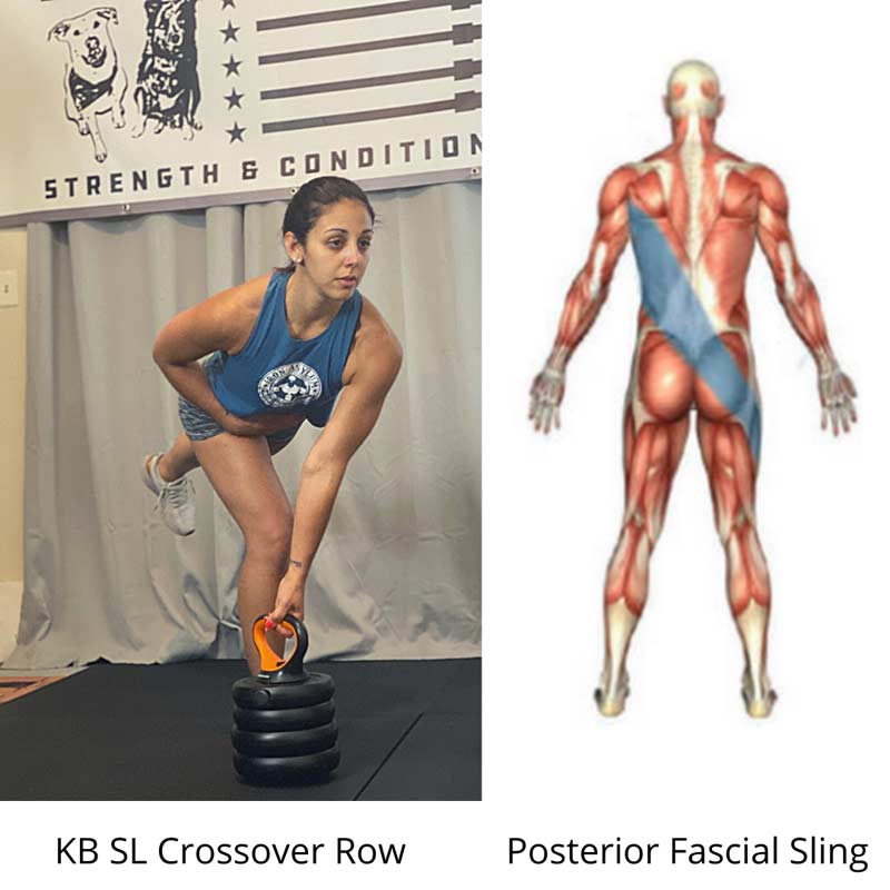 Foley Fascial Sling